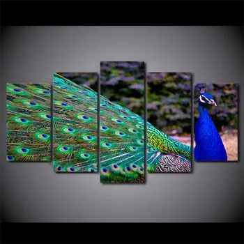 HD отпечатани 5 парче платно изкуство паун птица цветна живопис стена снимки за хол безплатна доставка ny-7432C